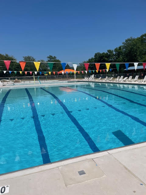 Swimmers in the pool lanes
